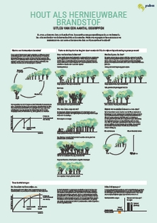 infographic hout als hernieuwbare brandstof 2019